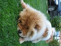 20110425_Paste 054